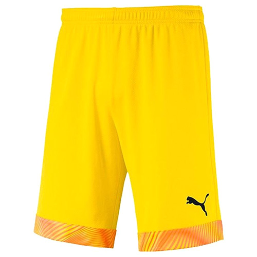 Pánské šortky Puma, CUP Shorts, 704034-045|M